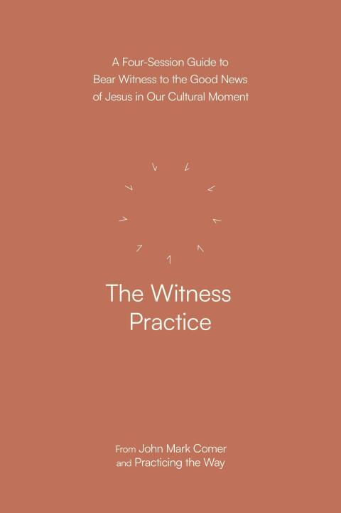 Cover image for book The Witness Practice