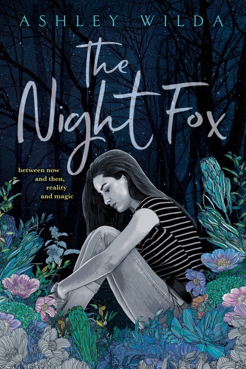 Cover image for book The Night Fox