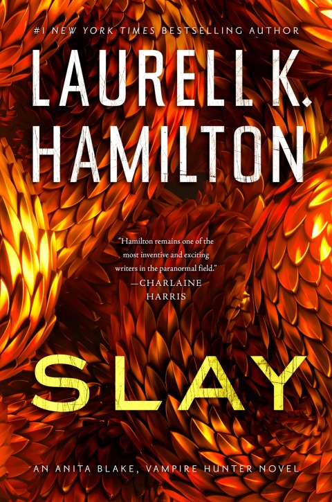 Cover image for book Slay