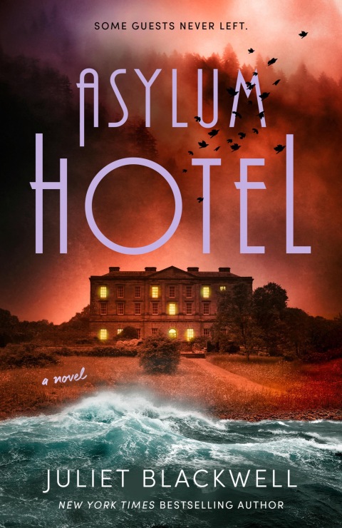 Cover image for book Asylum Hotel
