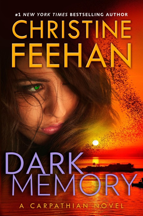 Cover image for book Dark Memory