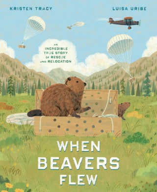 When Beavers Flew
