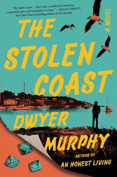 Cover image for book The Stolen Coast
