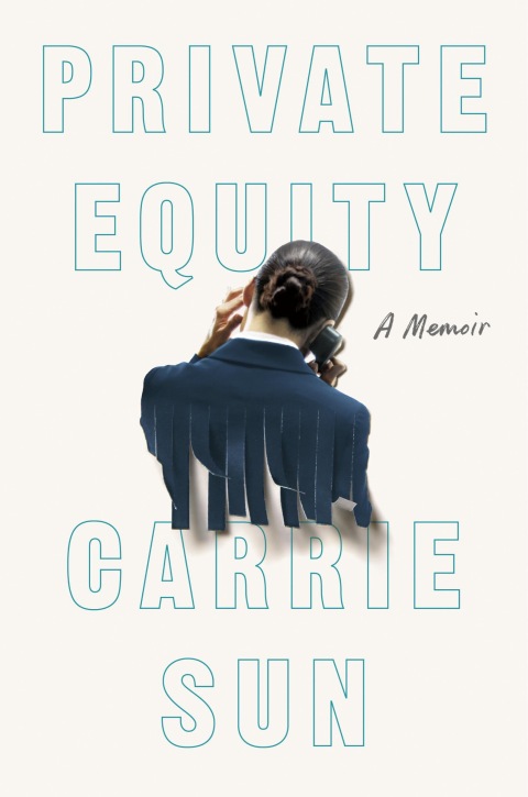 Cover image for book Private Equity
