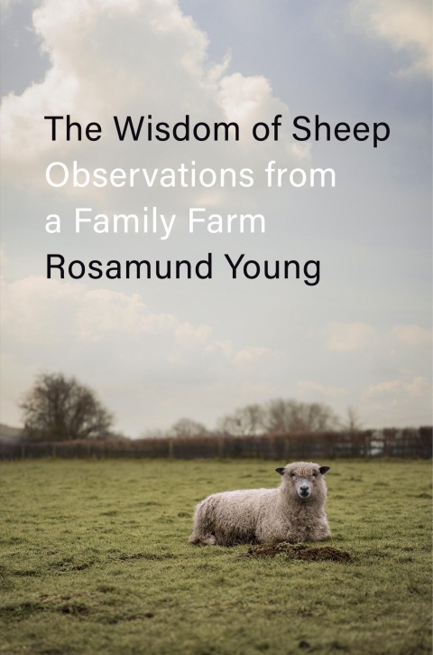 Cover image for book The Wisdom of Sheep