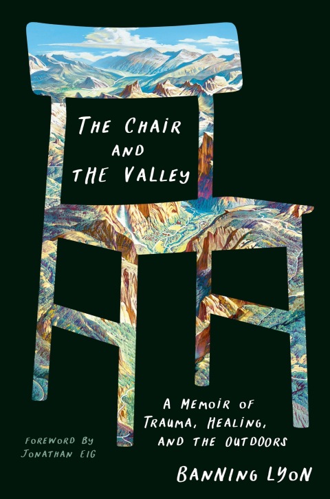 Cover image for book The Chair and the Valley