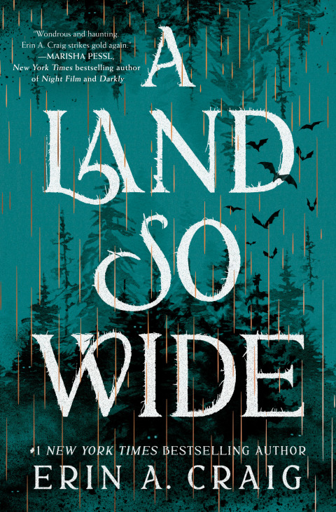 Cover image for book A Land So Wide