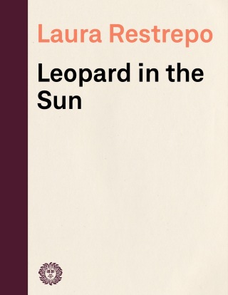 Leopard in the Sun