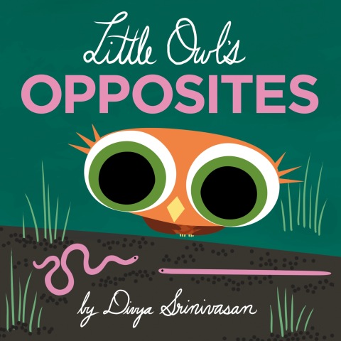 Cover image for book Little Owl's Opposites