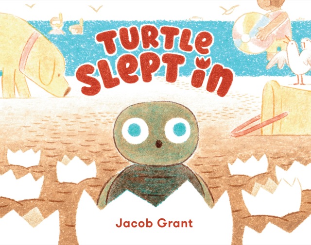 Turtle Slept In