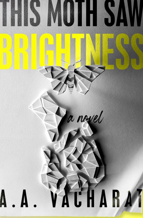 Cover image for book This Moth Saw Brightness