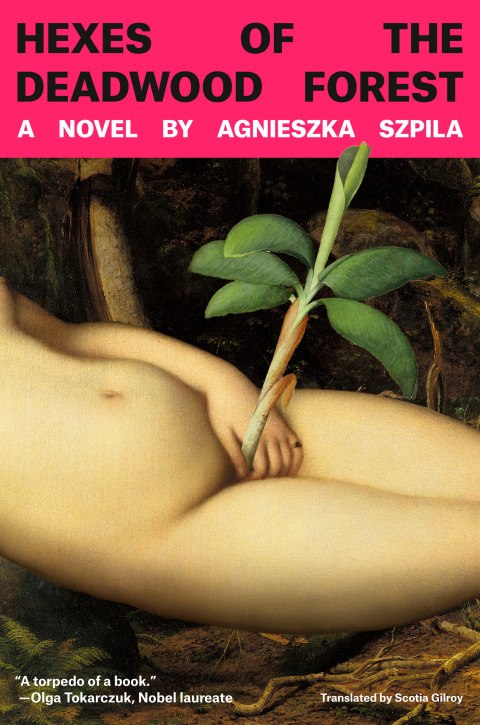 Cover image for book Hexes of the Deadwood Forest