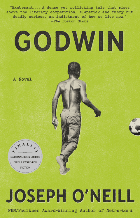 Cover image for book Godwin