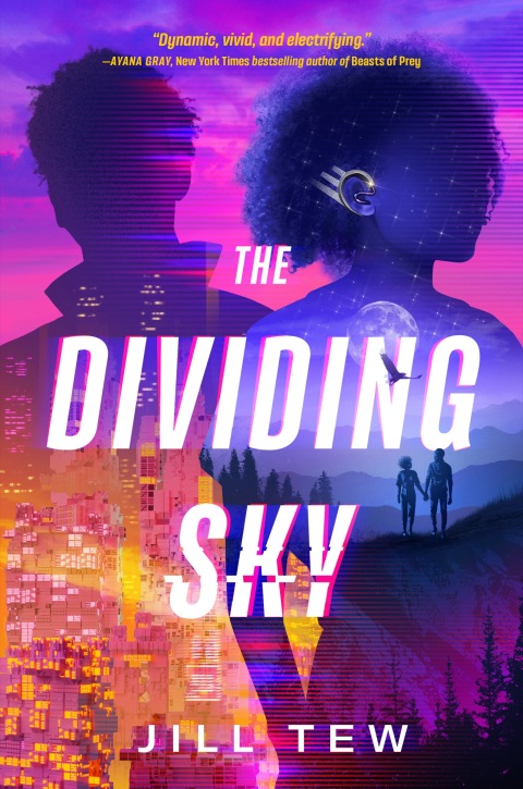Cover image for book The Dividing Sky