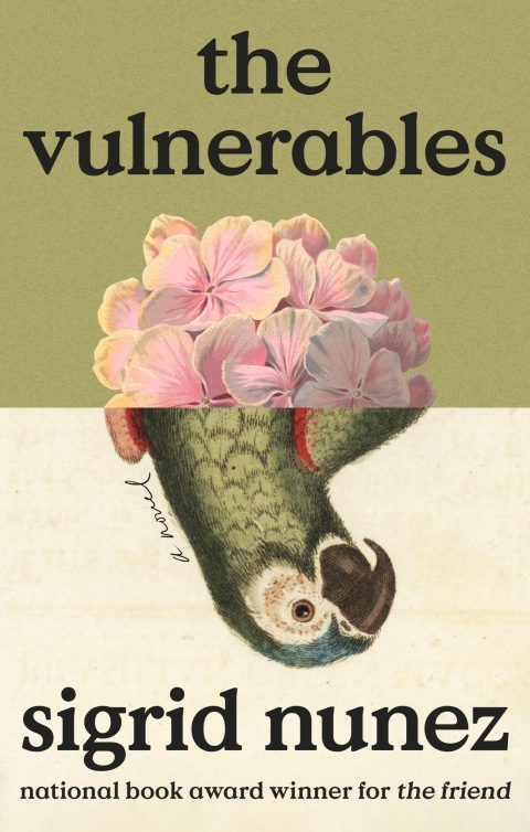 Cover image for book The Vulnerables