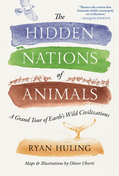 Cover image for book The Hidden Nations of Animals