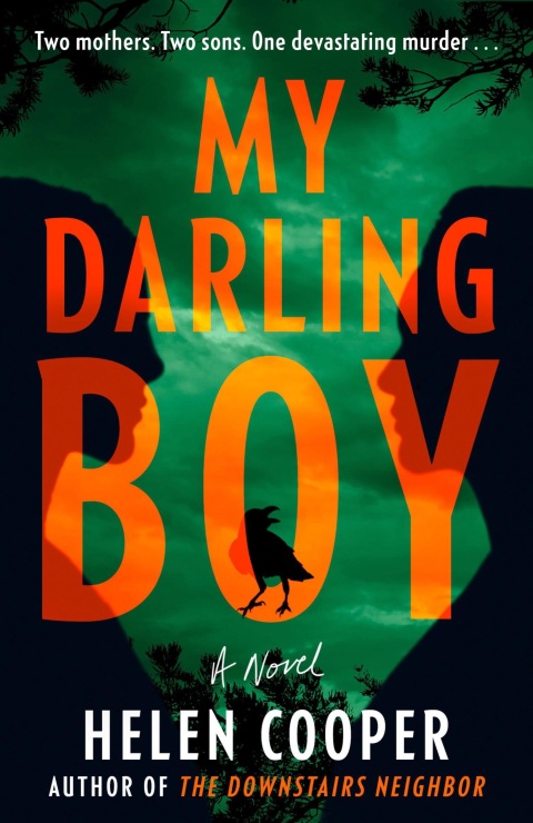 Cover image for book My Darling Boy