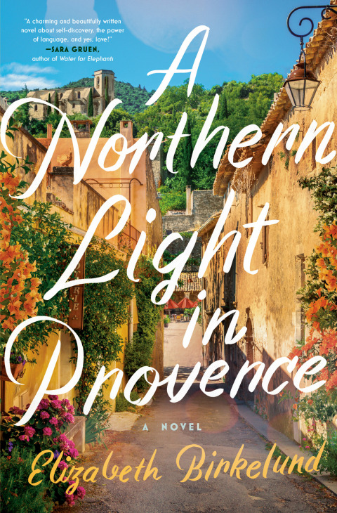 Cover image for book A Northern Light in Provence
