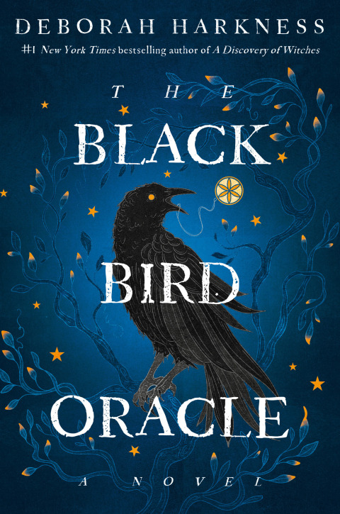 Cover image for book The Black Bird Oracle