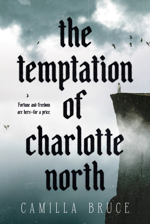 Cover image for book The Temptation of Charlotte North