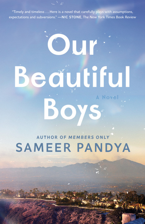 Cover image for book Our Beautiful Boys