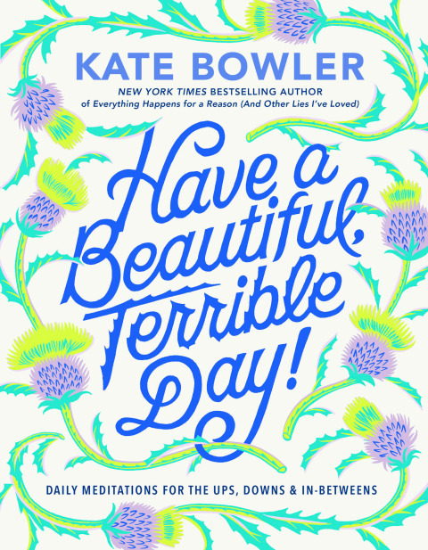 Cover image for book Have a Beautiful, Terrible Day!