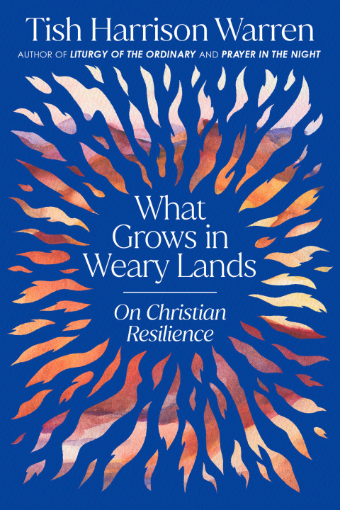 Cover image for book What Grows in Weary Lands