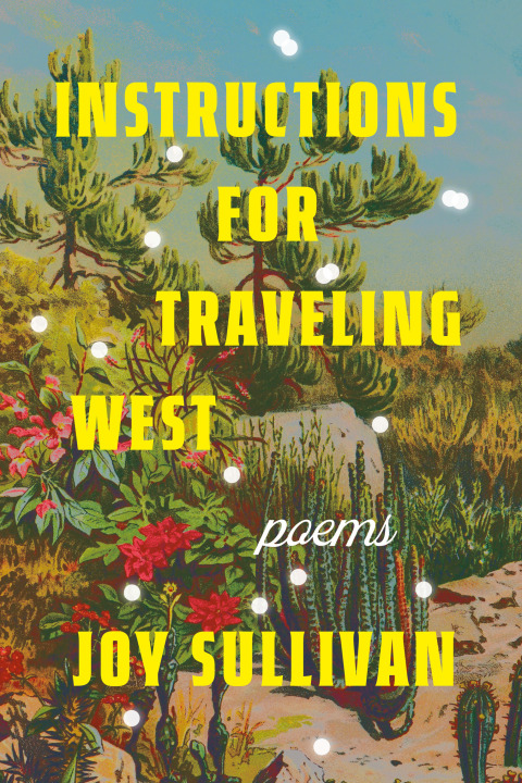 Cover image for book Instructions for Traveling West