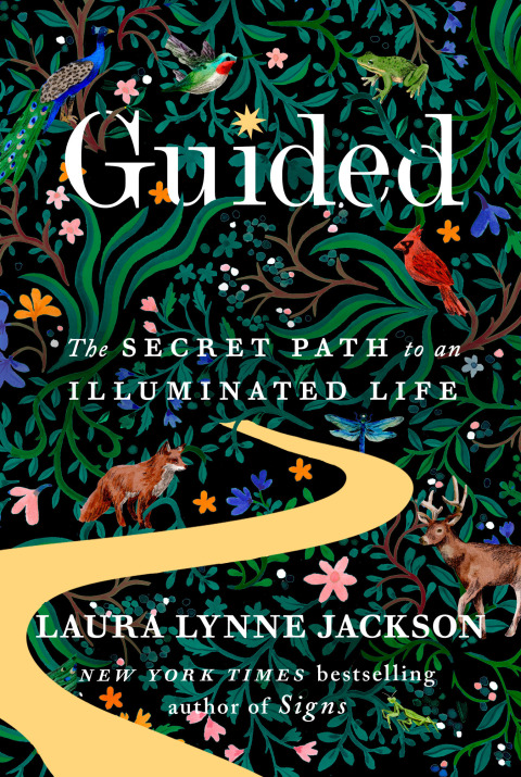Cover image for book Guided