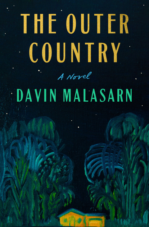 Cover image for book The Outer Country