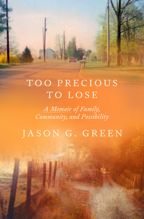 Cover image for book Too Precious to Lose