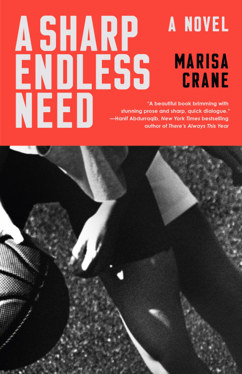 Cover image for book A Sharp Endless Need