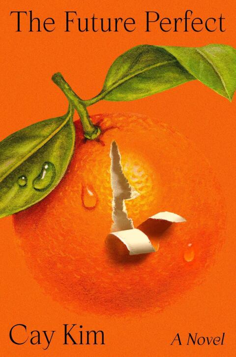 Cover image for book The Future Perfect