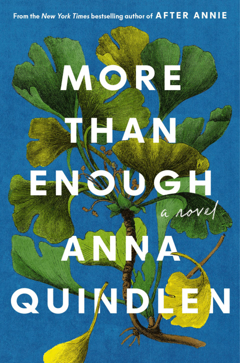 Cover image for book More Than Enough