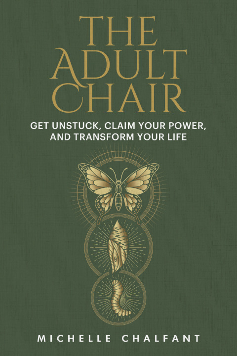 Cover image for book The Adult Chair