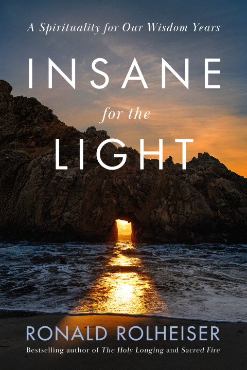Cover image for book Insane for the Light