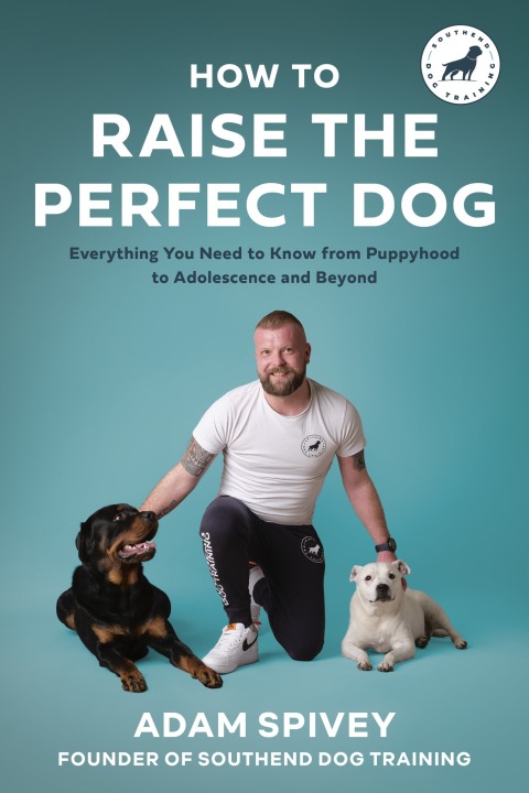 Cover image for book How to Raise the Perfect Dog