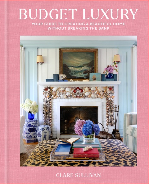 Cover image for book Budget Luxury
