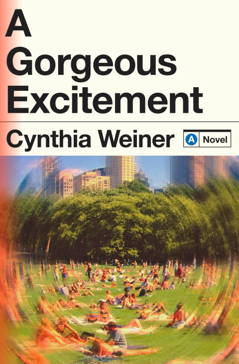 Cover image for book A Gorgeous Excitement
