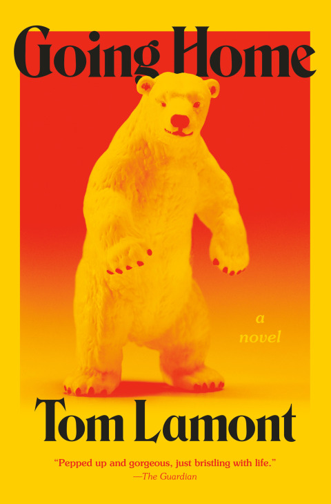 Cover image for book Going Home