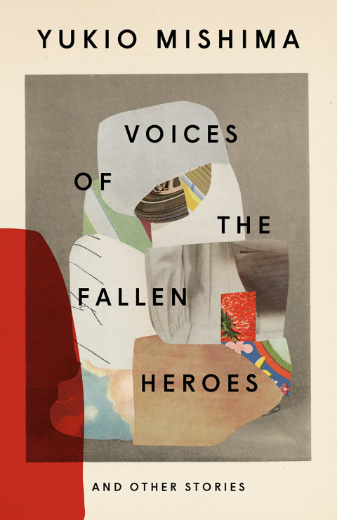 Cover image for book Voices of the Fallen Heroes