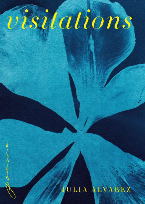 Cover image for book Visitations