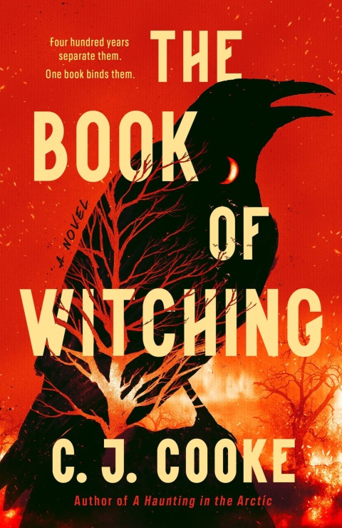 Cover image for book The Book of Witching