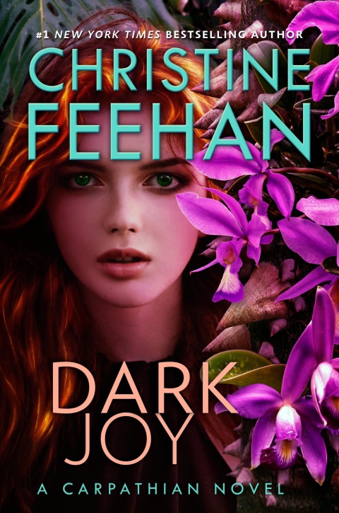 Cover image for book Dark Joy