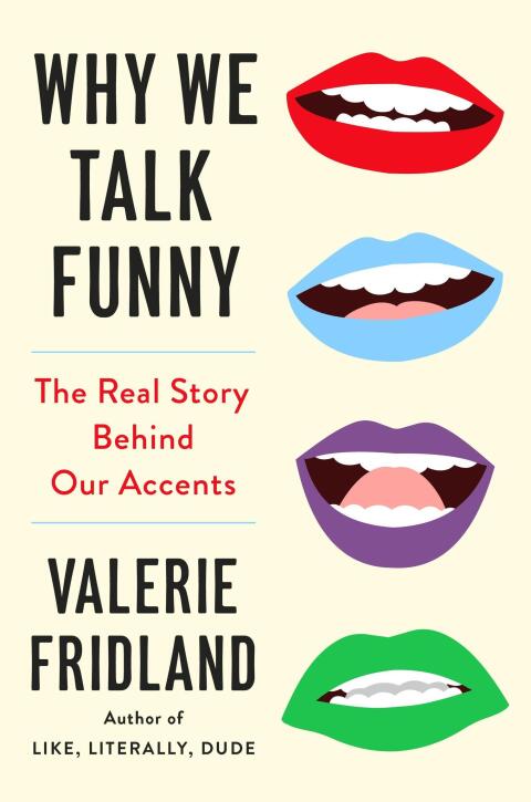 Cover image for book Why We Talk Funny