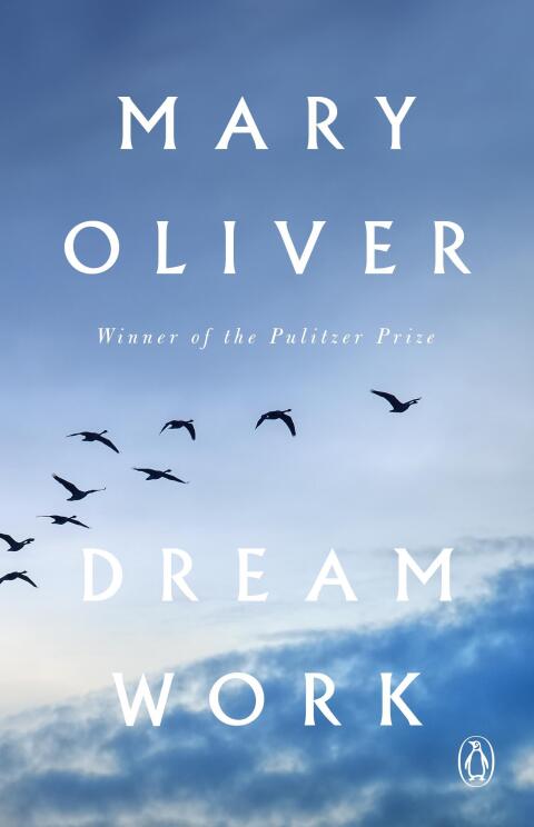 Cover image for book Dream Work