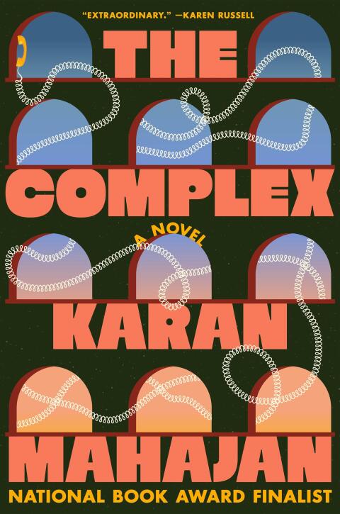 Cover image for book The Complex