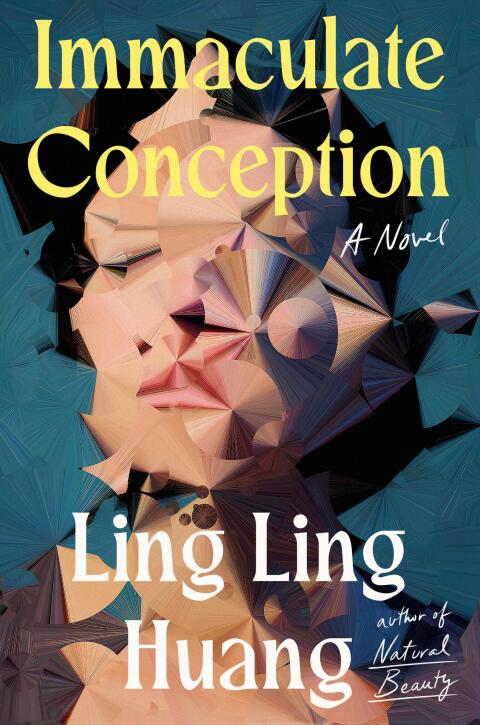 Cover image for book Immaculate Conception