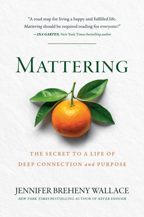 Cover image for book Mattering