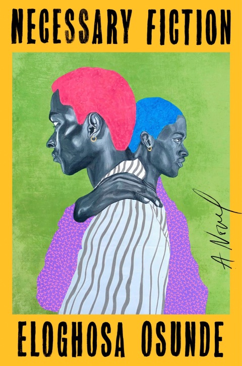 Cover image for book Necessary Fiction